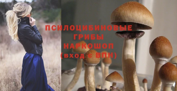 тгк Армянск